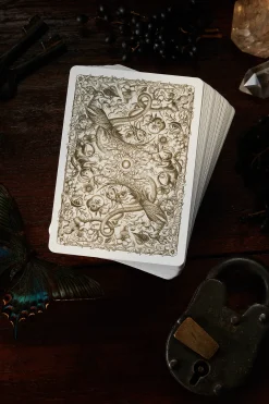 Cabinetarium Playing Cards