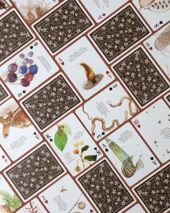 Eastern Forest Playing Cards