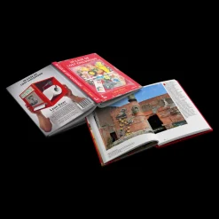 In Case of Lost Childhood