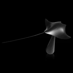 Manta Ray