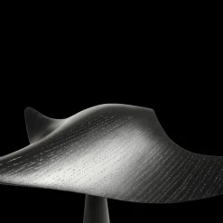 Manta Ray