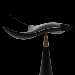 Manta Ray