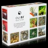 OuiSi Nature: Games of Visual Connection