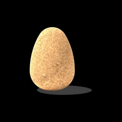 Thinking Egg
