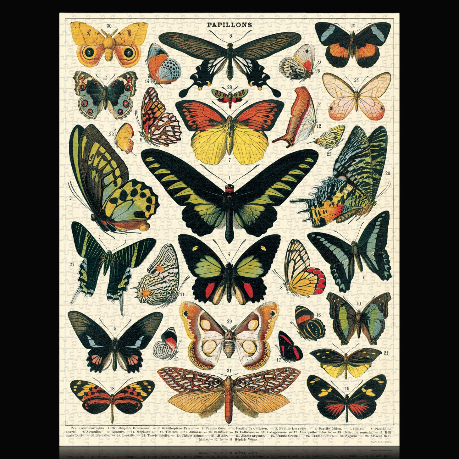 Vintage Butterflies Puzzle